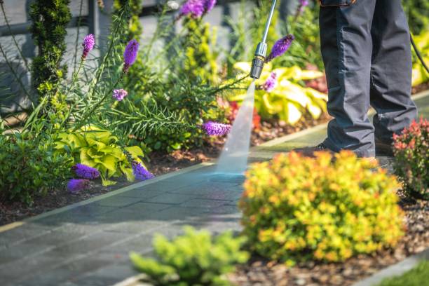 Best Deck and Patio Pressure Washing in Verdi, NV